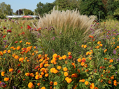 Britzer Garten