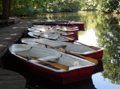 Tiergarten