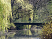 Tiergarten