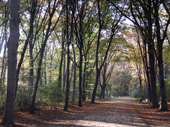 Tiergarten