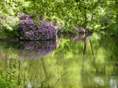 Tiergarten