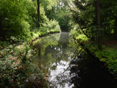 Tiergarten