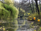 Tiergarten