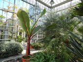 Botanischer Volkspark Blankenfelde-Pankow