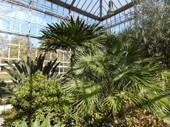 Botanischer Volkspark Blankenfelde-Pankow