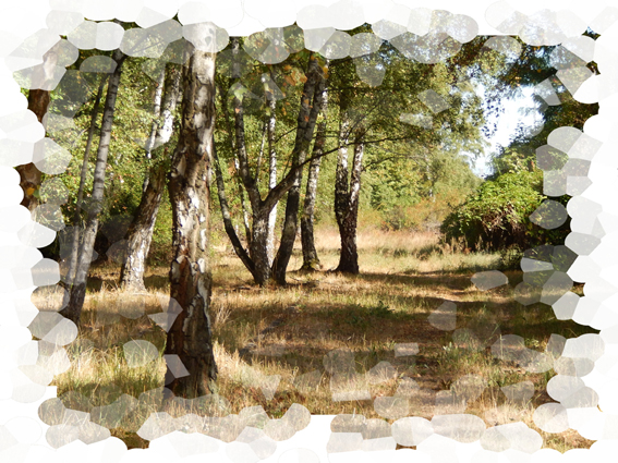 Natur-Park Schneberger Sdgelnde